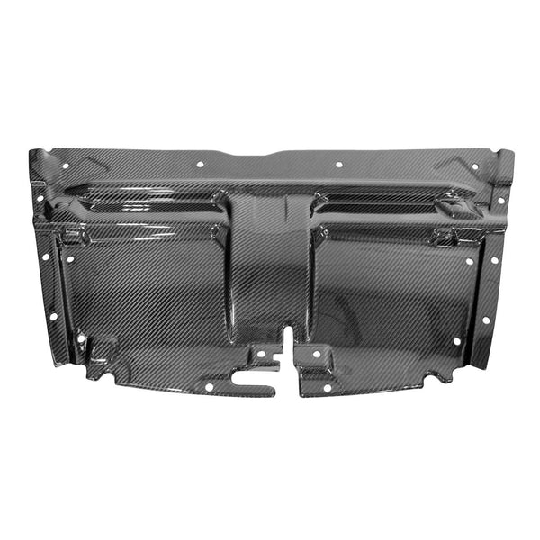 FABSPEED Carbon Fiber Slam Panel - Aston Martin