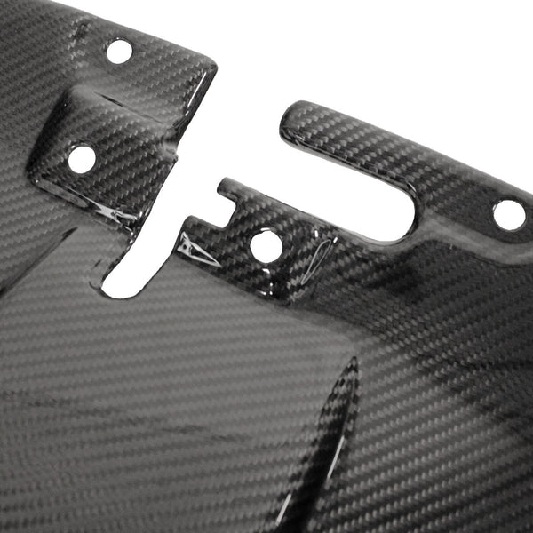 FABSPEED Carbon Fiber Slam Panel - Aston Martin