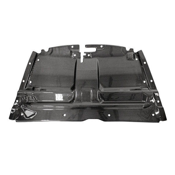 FABSPEED Carbon Fiber Slam Panel - Aston Martin