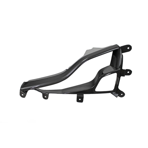 FABSPEED Carbon Fiber Rear Fog Light Trim - Ferrari 458 Spider/Coupe