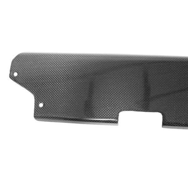 FABSPEED Carbon Fiber Coupe Rear Firewall Panel - Ferrari 360