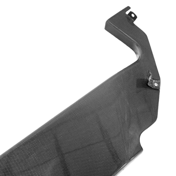 FABSPEED Carbon Fiber Rear Firewall Panel - Ferrari 458
