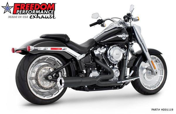 HARLEY SOFTAIL 2-STEP 4.5” UNION 2-INTO-1 2018-2024 official image