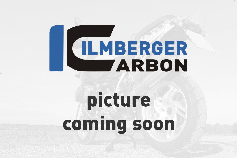 Ilmberger Carbon | Alternator cover gloss Ducati Panigale 1299 (from 2015) — Ducati 1299 Panigale from 2015