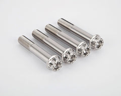 MOTOCORSE Front brake calipers titanium screws kit M10X1,25X65 | 100043075