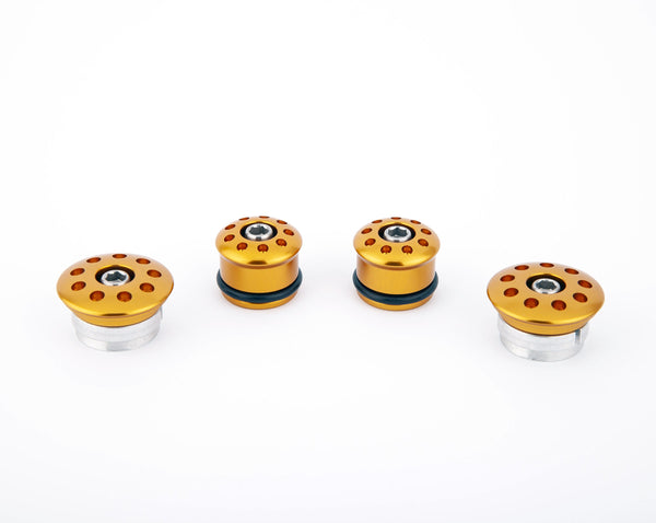 Aluminium frame plugs kit (Nr. 4) - Ducati 1199 / 1299 Colore