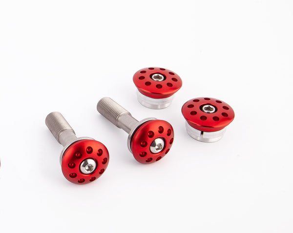 Aluminum Frame Plug Kit - DUCATI Panigale V4 2025 3