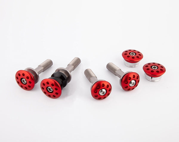 Aluminum Frame Plug Kit - DUCATI Streetfighter V4 2025 1