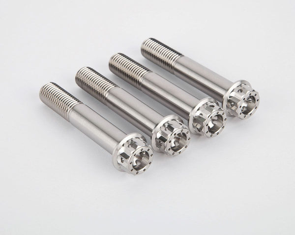 Front brake calipers titanium screws kit