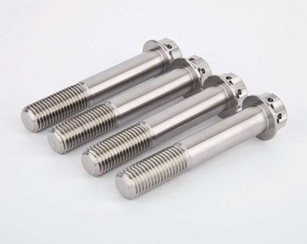 Front brake calipers titanium screws kit
