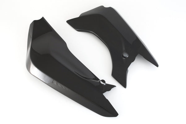 MOTOCORSE Swingarm cover - set Trama del carbonio e finitura superficiale - 2