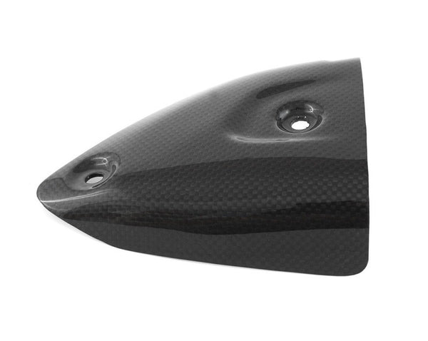 MOTOCORSE Exhaust protector (Termignoni) - left Trama del carbonio e finitura superficiale - 200P – Plain