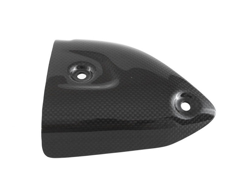 MOTOCORSE Exhaust protector (Termignoni) - right Trama del carbonio e finitura superficiale - 200P – Plain