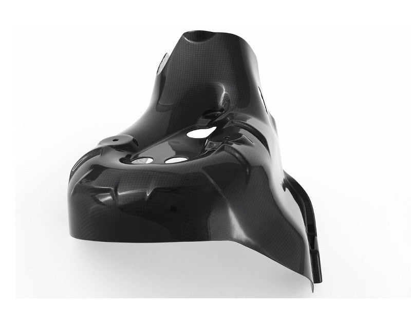 MOTOCORSE Exhaust protector - 2 Trama del carbonio e finitura superficiale - 2