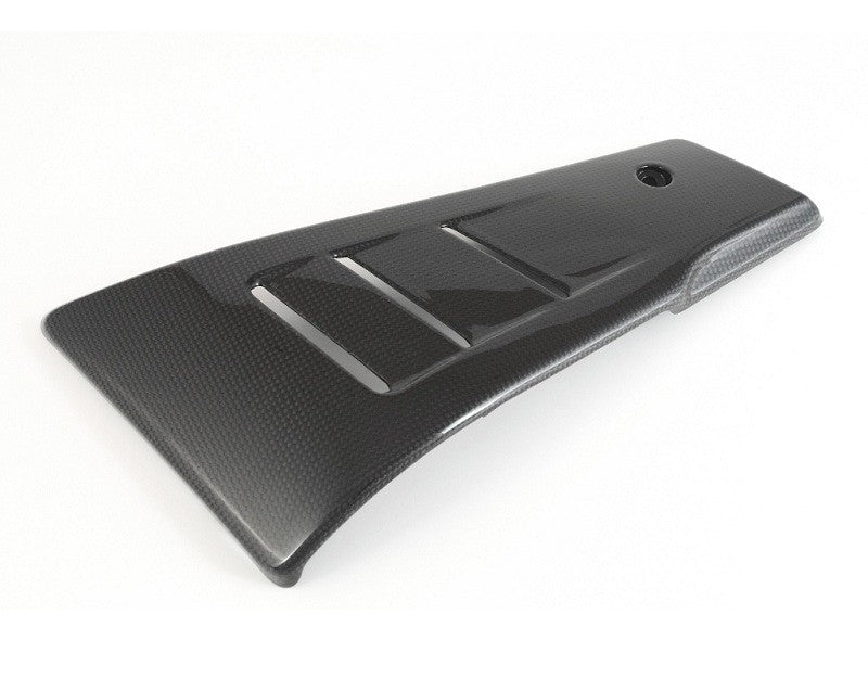 MOTOCORSE Belly covers - set Trama del carbonio e finitura superficiale - 2