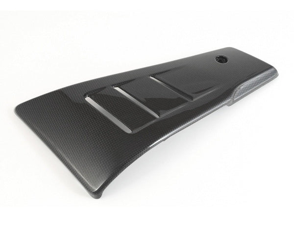 MOTOCORSE Belly covers - set Trama del carbonio e finitura superficiale - 2
