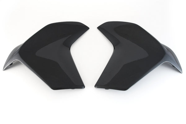 MOTOCORSE Side panels - set Trama del carbonio e finitura superficiale - 200P – Plain