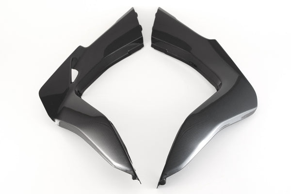 MOTOCORSE Rear side panels - set Trama del carbonio e finitura superficiale - 200P – Plain
