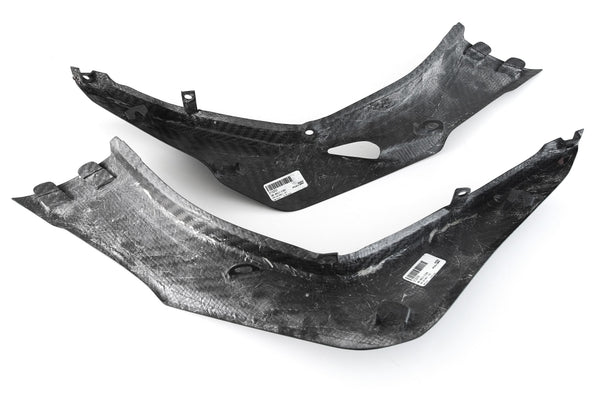 MOTOCORSE Rear side panels - set Trama del carbonio e finitura superficiale - 200P – Plain