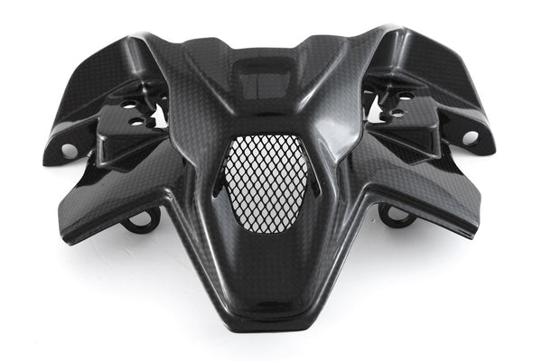 INNER HEADLIGHT FAIRING - DUCATI STREETFIGHTER V4 (2025-) 2