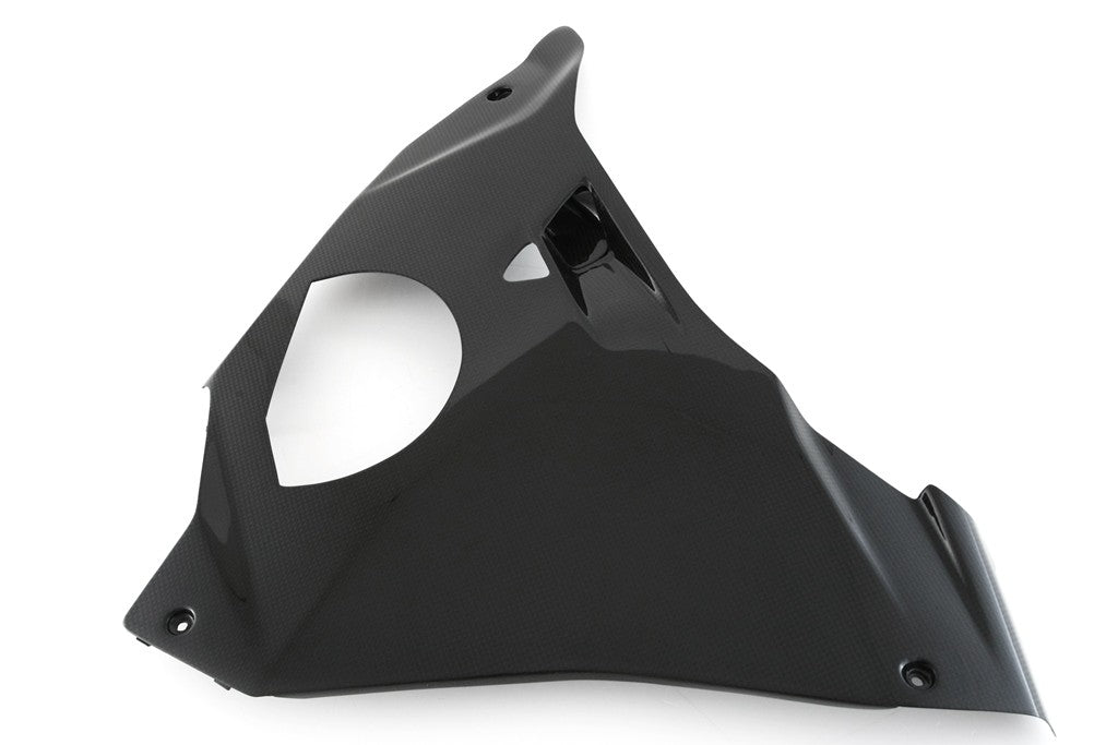 FAIRING SIDE PANEL - LOWER LEFT - DUCATI PANIGALE V4/S (2025-) 1