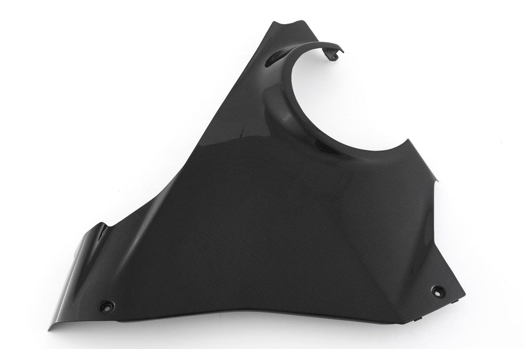 FAIRING SIDE PANEL - LOWER RIGHT - DUCATI PANIGALE V4/S (2025-) 1
