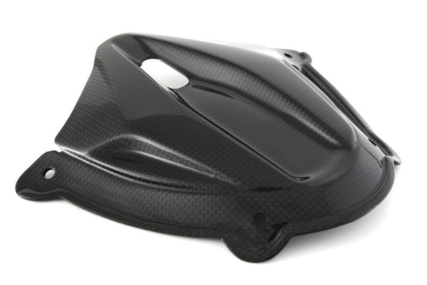 INSTRUMENT COVER  - DUCATI PANIGALE V4/S (2025-) 1