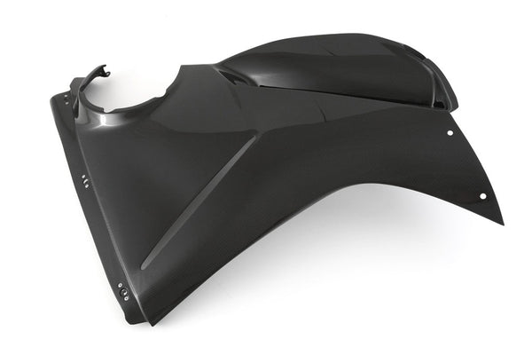 FAIRING SIDE PANEL RACE - RIGHT - DUCATI PANIGALE V4/S (2025-) 2
