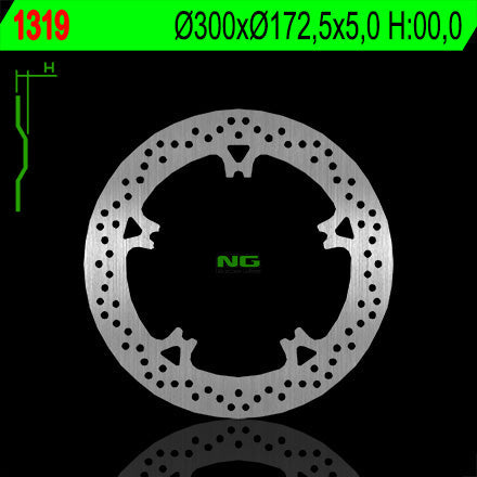 NG BRAKES NG1319 brake disc