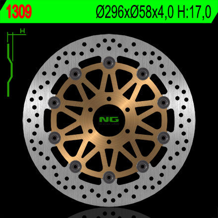 NG BRAKES NG1309 brake disc