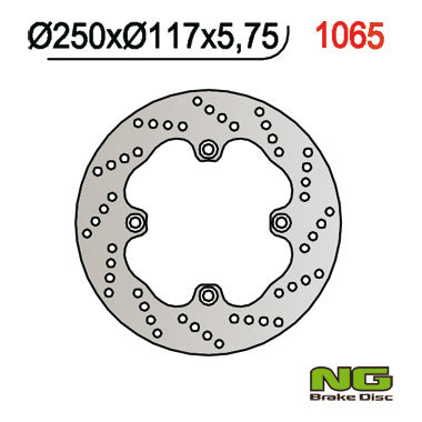 NG BRAKES NG1065 brake disc