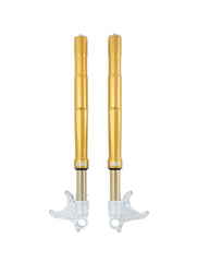 ÖHLINS FGRT 231 Road & Track NIX 30 Front Fork – Ducati Panigale 899 / 959 / V2 / V4