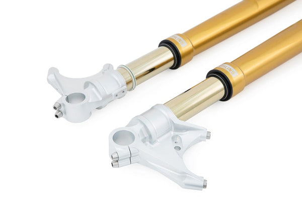FGRT 208 ÖHLINS FGRT gold front fork official image 2