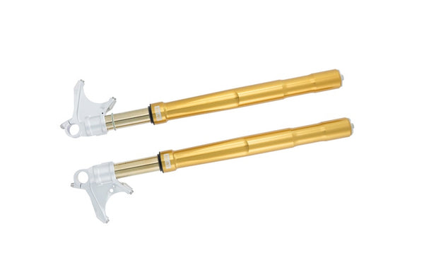 FGRT 208 ÖHLINS FGRT gold front fork official image 3