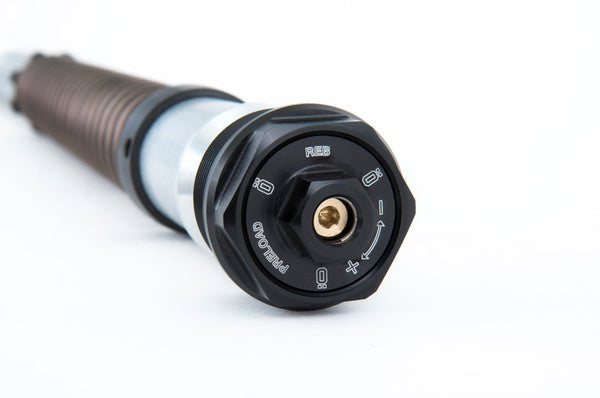 ÖHLINS FKS 228 NIX 22 Cartridge official image 3