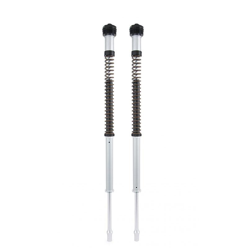 Unit Garage FKS221 Öhlins Fork Cartridges Nix 22 Harley Davidson Softail (2018-2021)