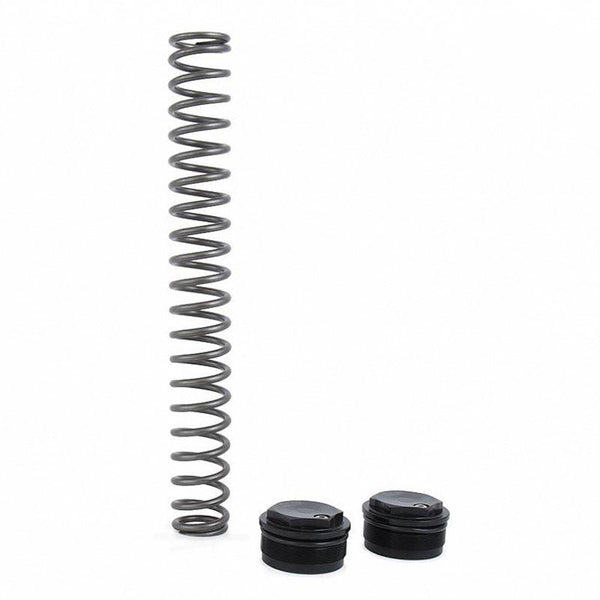 Unit Garage FKS221 Öhlins Fork Cartridges Nix 22 Harley Davidson Softail (2018-2021)