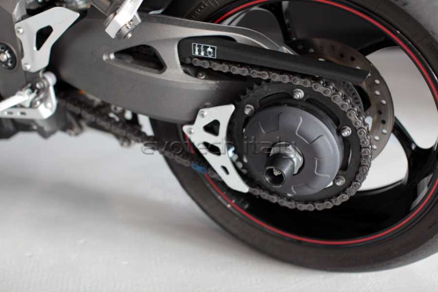 Evotech RC Triumph Speed Triple RS '18-'20 Rear Axle Fork Protector