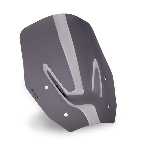Puig Z-Racing Windscreen for BMW R1300GS – 22014 — 22014F