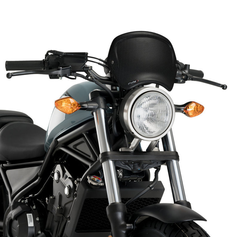 Puig 3702C Front Styling Plate — Carbon Look