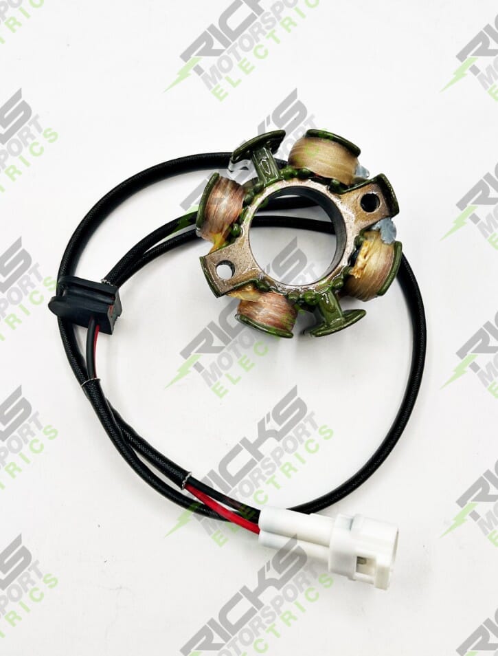Rick's Motorsport Electrics KTM 21-0103 official photo