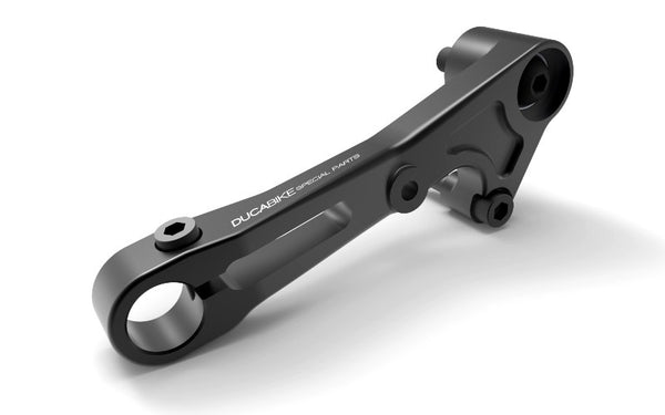 DUCABIKE RPLC19