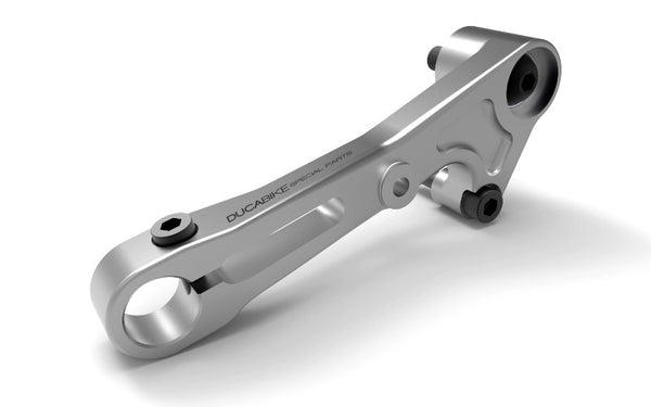 DUCABIKE RPLC19