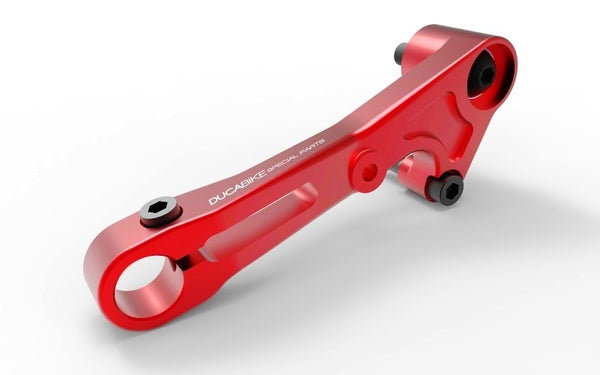 DUCABIKE RPLC19