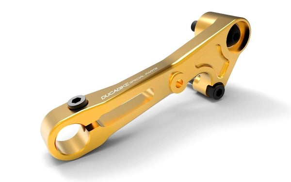 DUCABIKE RPLC19