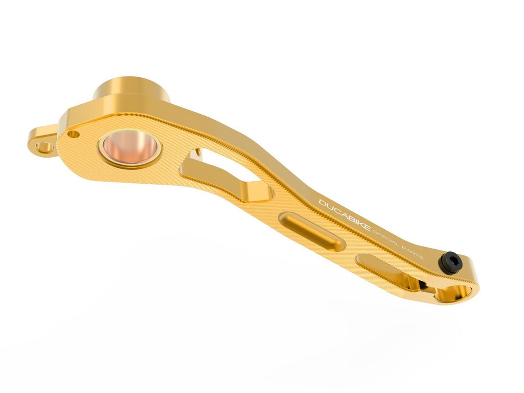 DUCABIKE RPLF21