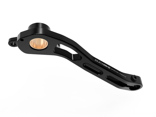 DUCABIKE RPLF21