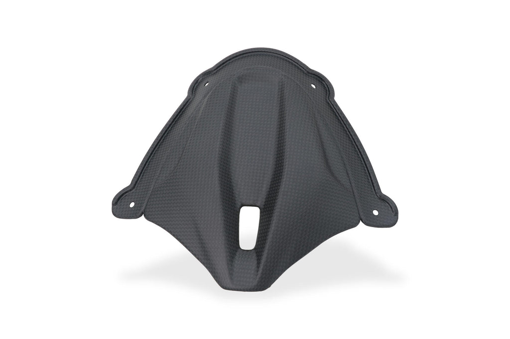 CNC RACING | Front Fairing Infill Ducati Panigale V4 - Carbon 1