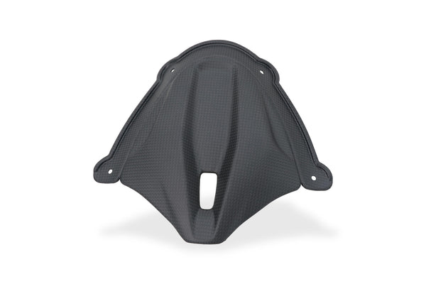 CNC RACING | Front Fairing Infill Ducati Panigale V4 - Carbon 1