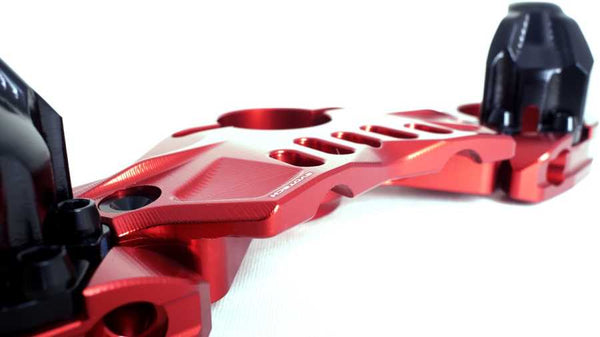 Ducati Panigale V4 S/ Speciale